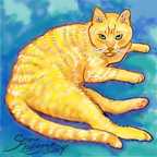 Shorthair kitty cat Skimbles to color