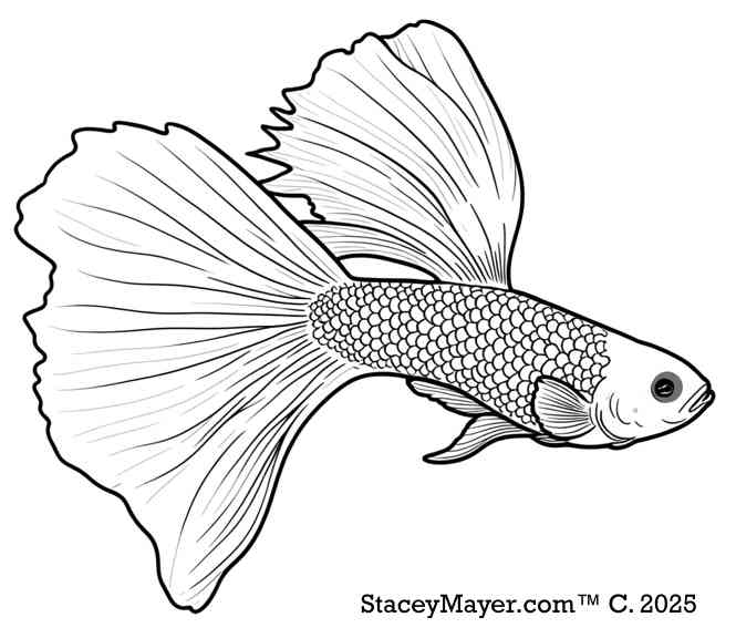 Leopard Shark coloring book