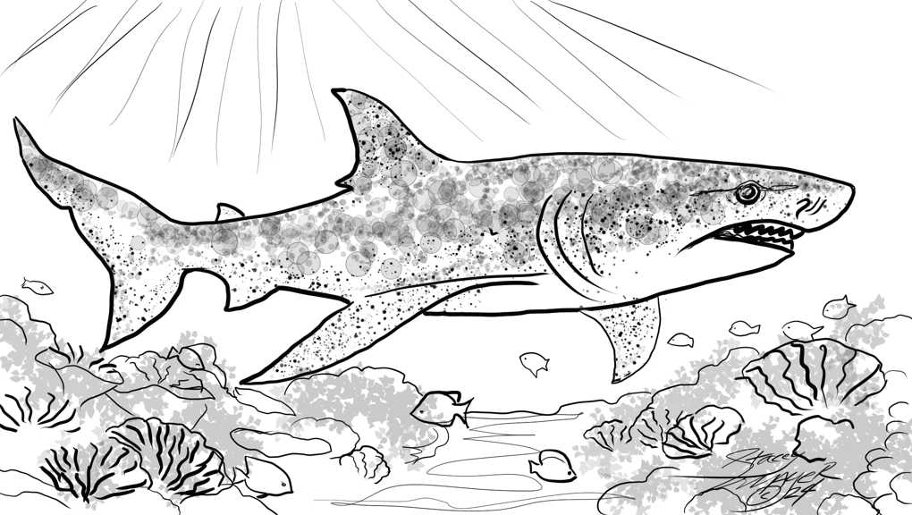 Leopard Shark coloring book