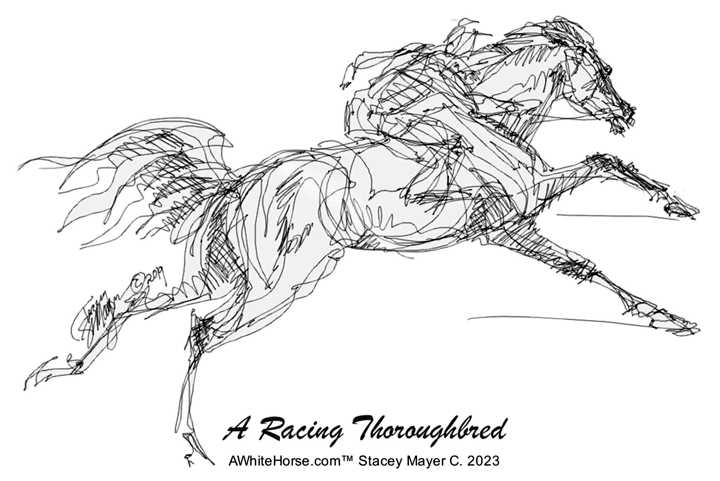 Thoroughbred Race Horse to print and color