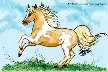 Golden palomino pinto miniature horse