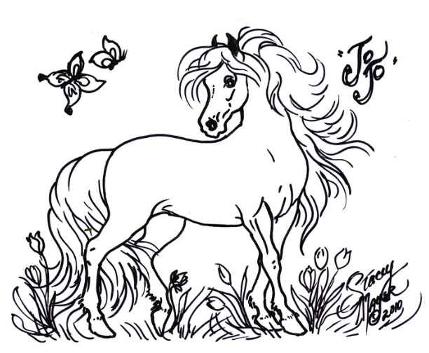 Miniature horse to color, JoJo