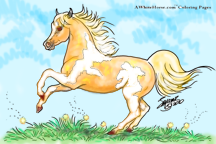 Galloping Miniature Horse in Color