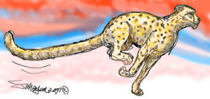 Cheetah Run by Stacey Mayer