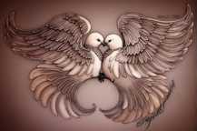 Doves and Love Birds