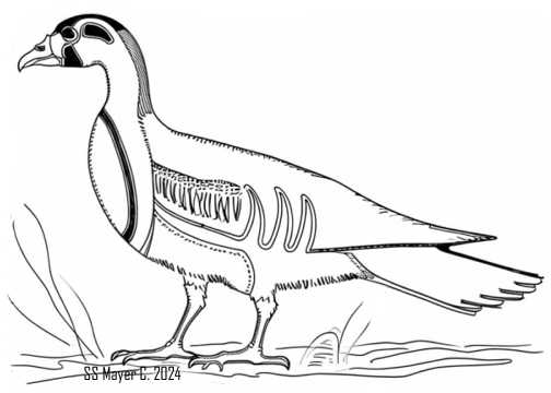 Egyptian Meidum Goose to Color