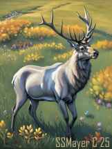 Roosevelt Elk to Color