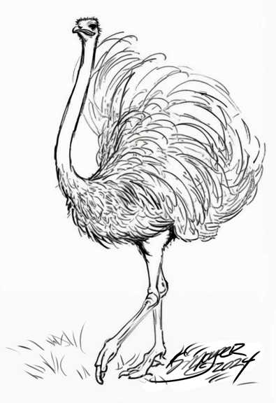 8adancing ostrich